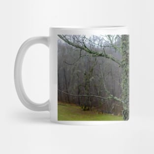 Moss wrapped old tree in autumn Mug